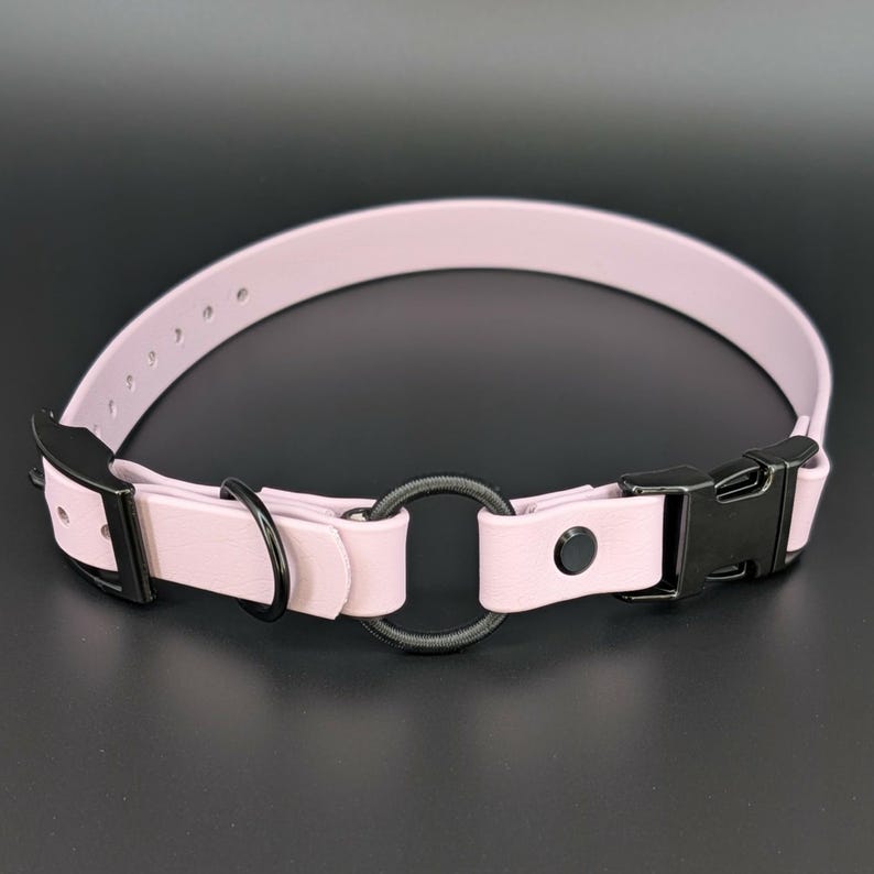 custom lavender biothane e-collar strap with bungee and black quick release buckle for off leash dog training