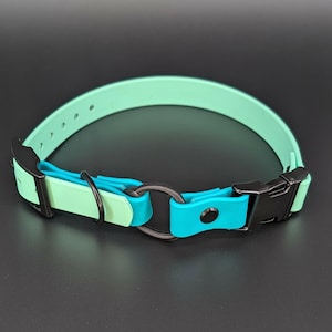 custom mint green and teal biothane e-collar strap with bungee and black quick release buckle for off leash dog training