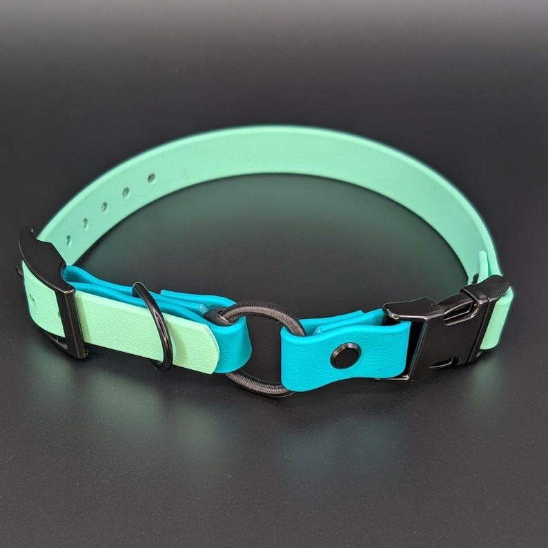 custom mint green and teal biothane e-collar strap with bungee and black quick release buckle for off leash dog training