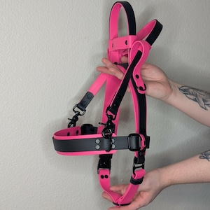 May include: A bright pink and black harness with adjustable straps and metal hardware. The harness features a curved design with a padded chest piece and multiple connection points. The straps are black and the main body is a vibrant pink.