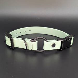 custom mint green biothane e-collar strap with bungee and black quick release buckle for off leash dog training
