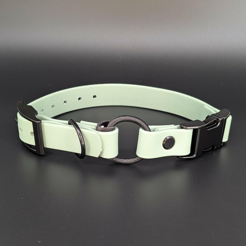custom mint green biothane e-collar strap with bungee and black quick release buckle for off leash dog training