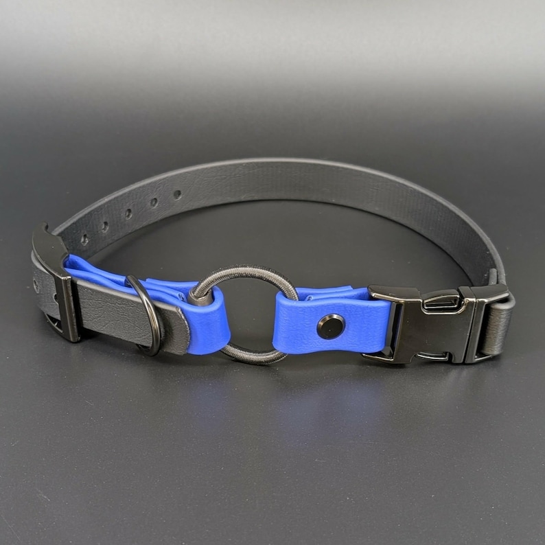 custom black and royal blue biothane e-collar strap with bungee and black quick release buckle for off leash dog training