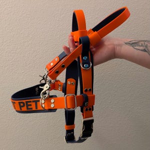 Biothane Straight Front Harness with Counterbalance Handle and Pull Strap, Custom Text Across Chest Strap, Mobility Harness for Working Dog