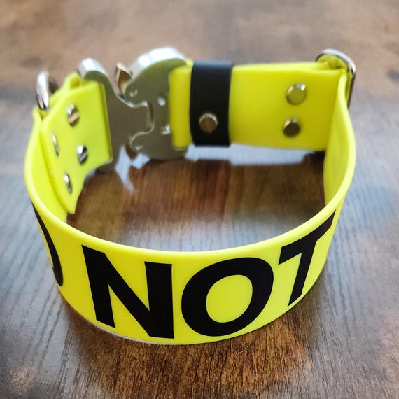 Custom Biothane Dog Collar: Heavy Duty Cobra Buckle, Custom Text