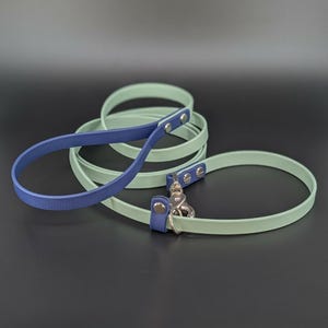 May include: A dog leash in a looped design. The leash is primarily a light green color, with a dark blue handle and accents. The leash has a silver-colored clasp and rivets. The leash is made of a smooth material.