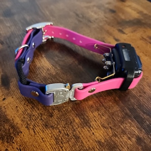 Biothane E-Collar Strap with Bungee and Heavy Duty Quick Release Cobra Buckle, Waterproof Off Leash Dog Trainer Gear, Dog Training Accessory
