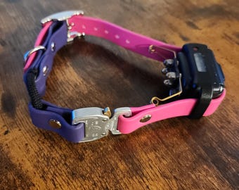 Custom Biothane E-collar Strap: Bungee, Quick Release Cobra Buckle