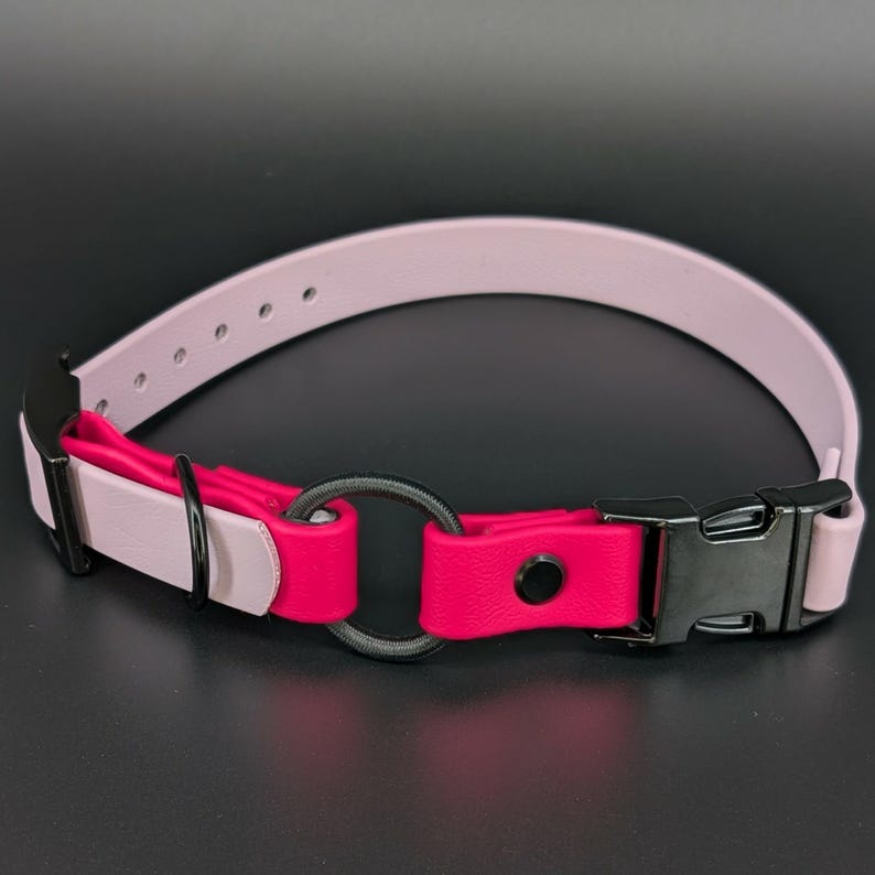 custom lavender and pink biothane e-collar strap with bungee and black quick release buckle for off leash dog training