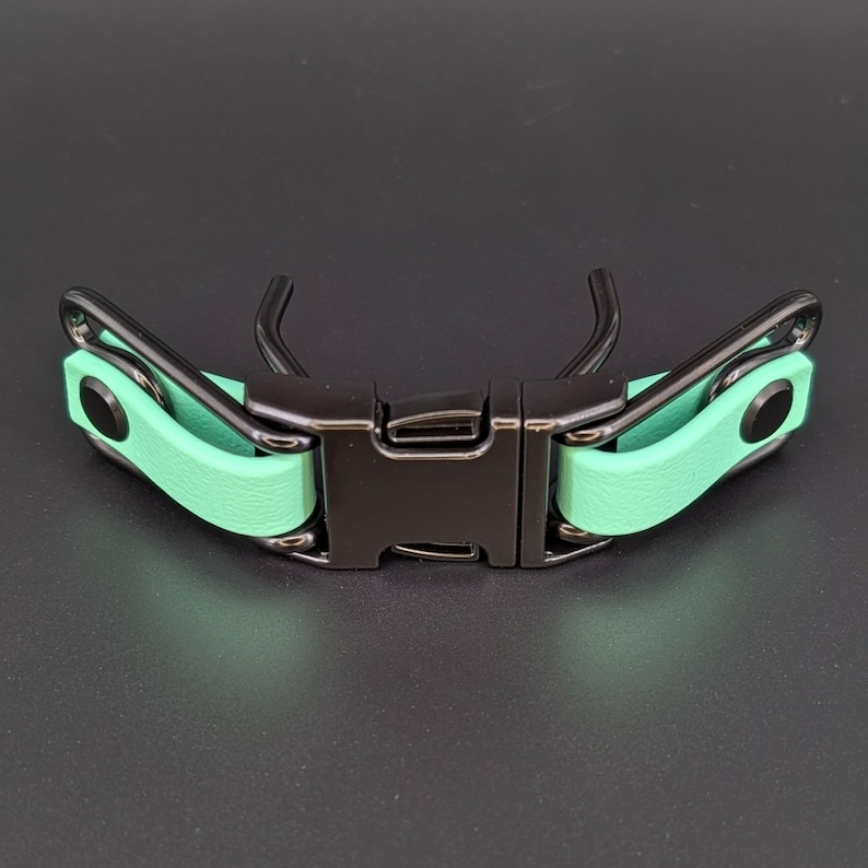 mint green biothane with black hardware quick release buckle attachment for prong collar