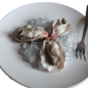 Oysters On Ice Fake Food Replica
