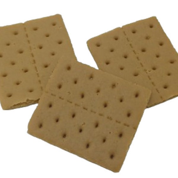 Graham Crackers Fake Food Replica