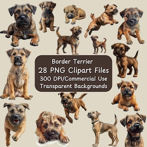Border Terrier - Realistische Illustrationen - 28 PNG Dateien - Ganzkörper - Clipart Bundle - Hundeliebhaber - Kommerzielle Nutzung - Sofortiger digitaler Download