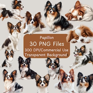 Papillonhond - realistische illustraties - 30 png-bestanden - volledige tekst - clipartbundel - commercieel gebruik - digitale download - kleine rassenhond