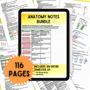 Anatomy Notes Bundle, Anatomy Study Guide, MCAT Prep, Pre-Med, Nursing School, Med School, Detailed Notes, Exam Prep, Pdf, Printable