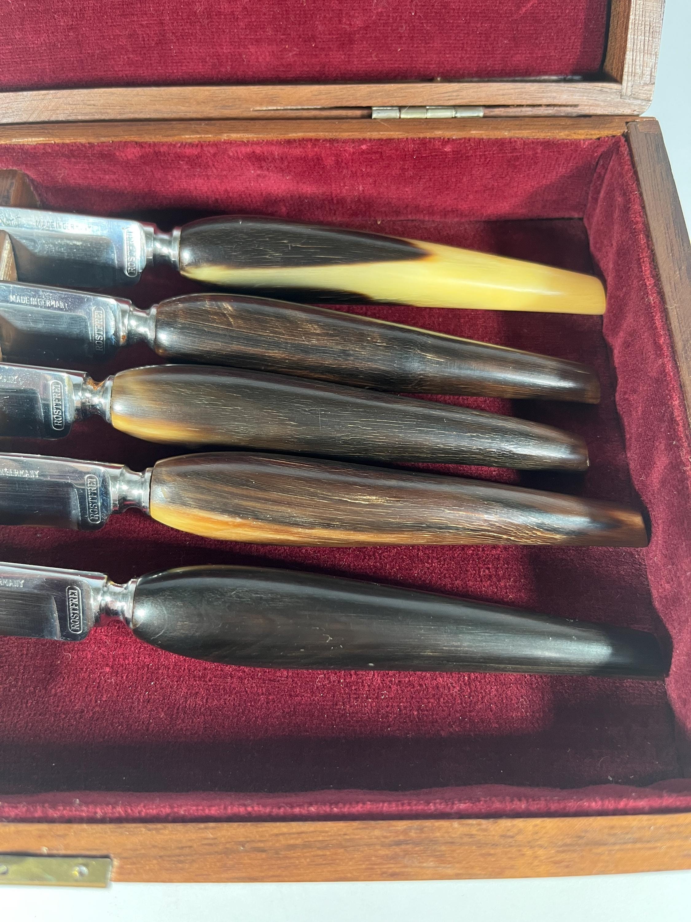 Vintage Hoffritz Horn Handle Steak Knives – Stainless Steel Set of