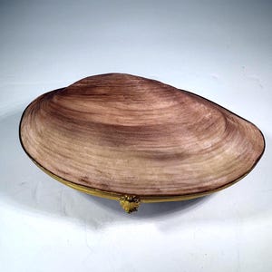 May include: A decorative clam shell-shaped trinket box. The shell is a blend of brown and tan hues, with a textured surface. It is framed by a gold-colored metal border and features a decorative gold-colored clasp.