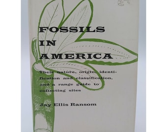 FOSSILS IN AMERICA : Their Nature, Origin, Identification And Classification 1st