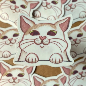Curious Cat Sticker, gemütlicher, süßer, herzerwärmender Katzenliebhaber