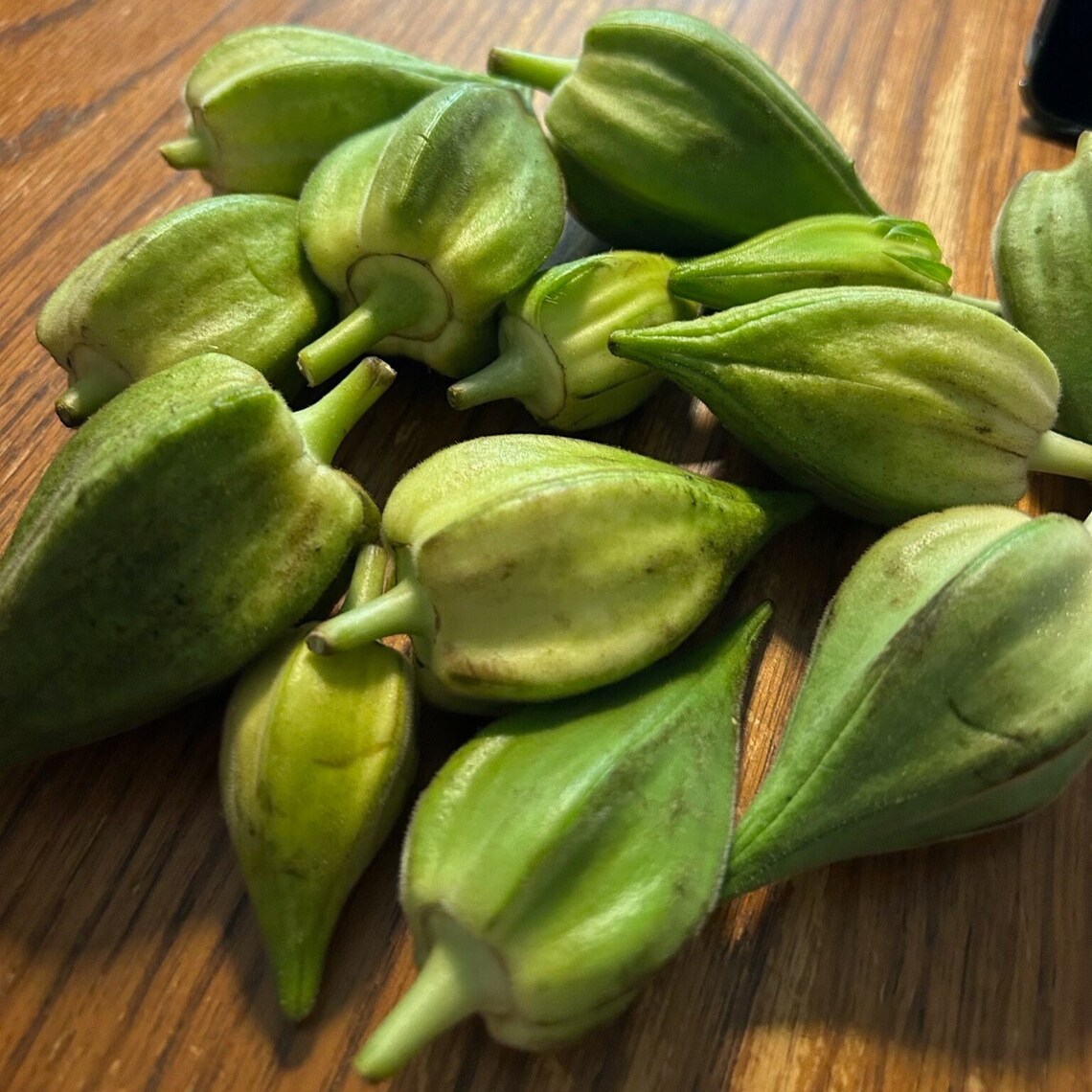 Motherland Okra mammoth Heirloom 20 Seeds Etsy