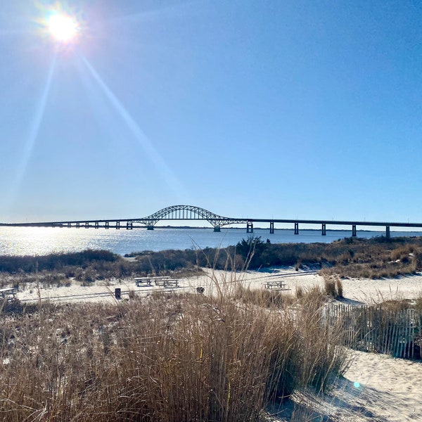 Robert Moses Bridge