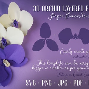 Fiore a strati di orchidea 3D SVG PNG. Modello di fiori di carta