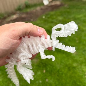 Puede incluir: Un juguete de dinosaurio blanco transl&uacute;cido impreso en 3D, sostenido contra un fondo de hierba verde. El dinosaurio es un modelo detallado con caracter&iacute;sticas visibles de la caja tor&aacute;cica y el cr&aacute;neo. El juguete se sostiene en una mano.