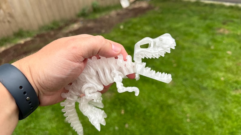 Puede incluir: Un juguete de dinosaurio blanco transl&uacute;cido impreso en 3D, sostenido contra un fondo de hierba verde. El dinosaurio es un modelo detallado con caracter&iacute;sticas visibles de la caja tor&aacute;cica y el cr&aacute;neo. El juguete se sostiene en una mano.
