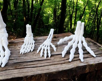3D Printed Skeleton Hands & Feet – Articulated Fidget Toy for Halloween, Desk, or Decor