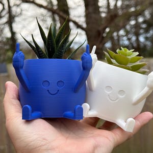 May include: Two small, 3D printed planter pots with arms and legs, giving the appearance of a person. One pot is blue and the other is white. Both pots have a smiling face and are holding up their middle fingers. The pots are holding small plants.