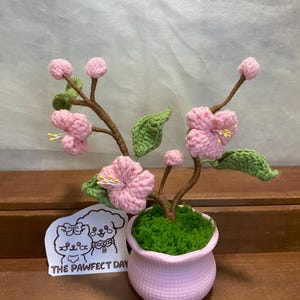 May include: A pink crocheted cherry blossom tree in a pink pot with green moss. The tree is on a wooden surface and has a sticker with a cartoon dog and cat that says "The Pawfect Day".