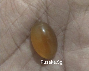 Reise in das mystische Reich: Werde Zeuge der Enthüllung eines weiteren Khodam Mustika Steins, der von unserem Guru direkt aus seinem Gebetsteppich gezogen wurde!"