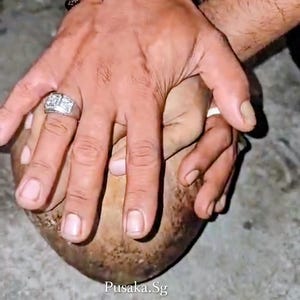 May include: A close-up of a hand wearing a silver ring with a square design, a silver bracelet, and a black beaded bracelet. The hand is pressing down on a brown, rounded object. The text "Pusaka.Sg" is visible.