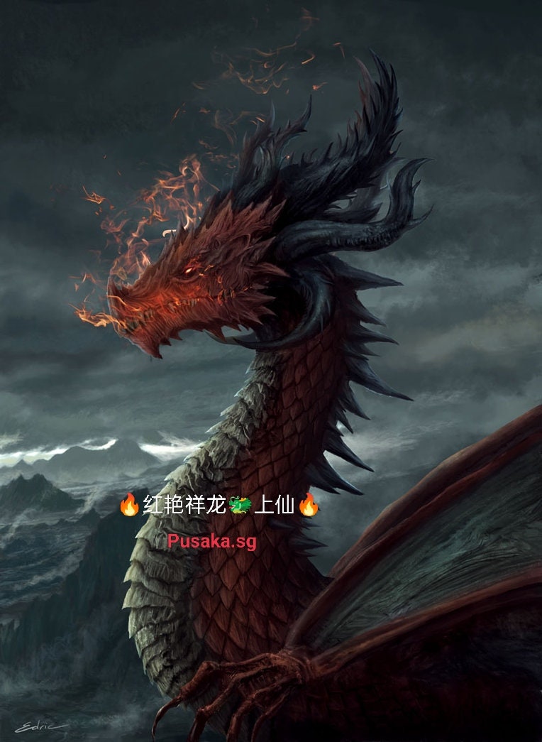 Pengisian Khodam Djinn Pendamping(Personalised Khodam Guardian Empowerment) Auspicious Red Dragon (Xiaolong, 红艳祥龙上仙) From The Astral Planes