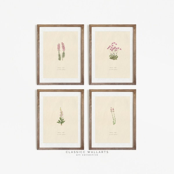 Antique Botanical Prints Etsy