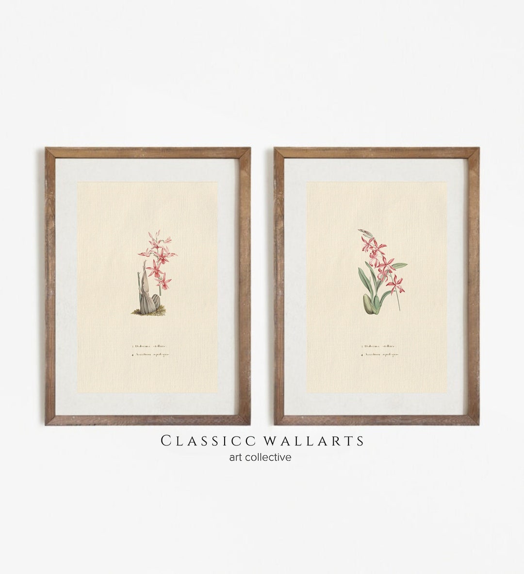 Vintage Botanical Print French Country Farmhouse Watercolor Digital ...