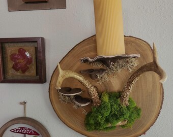 Arte de pared de altar de bosque rústico / Candelabro de astas, musgo y hongos / Decoración espiritual de bosque terroso