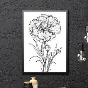 Carnation Floral Drawing, Carnation Print, Black and White Floral Wall Art, Carnation Printable, Carnation Line Art, Floral Painting