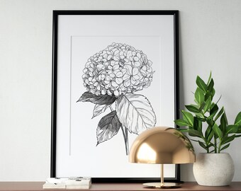 Hydrangea Line Art, Hydrangea Floral Poster, Black and White Floral Wall Art, Hydrangea Printable, Hydrangeas, Florist Gift, Botanist Gift