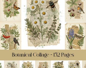 Botanische Collage, Junk Journal, Scrapbookpapier, Insekten, Blumen, Pflanzen, Naturthema, digitaler Download