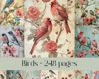 Birds & Flowers Digital Paper: Shabby Chic Scrapbook Pages (Digital Download)