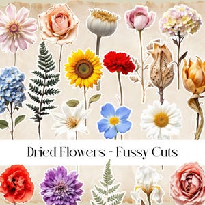 Flores secas Fussy Cuts, diário de sucata, folhas de adesivos, scrapbooking, impressão e corte, PNGs, JPEGs, botânico, floral, plantas, flores de jardim