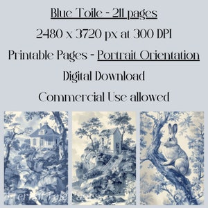 May include: Three digital printable pages of blue and white toile patterns. The patterns feature a house on a cliff, a waterfall, and a rabbit sitting on a tree branch.