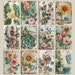 Botanical Junk Journal Pages: Vintage Floral Ephemera (digital Download ...