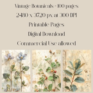 Vintage Botanicals Junk journal pages, floral images, paper texture, vintage style, scrapbook paper, digital paper, printable images image 2