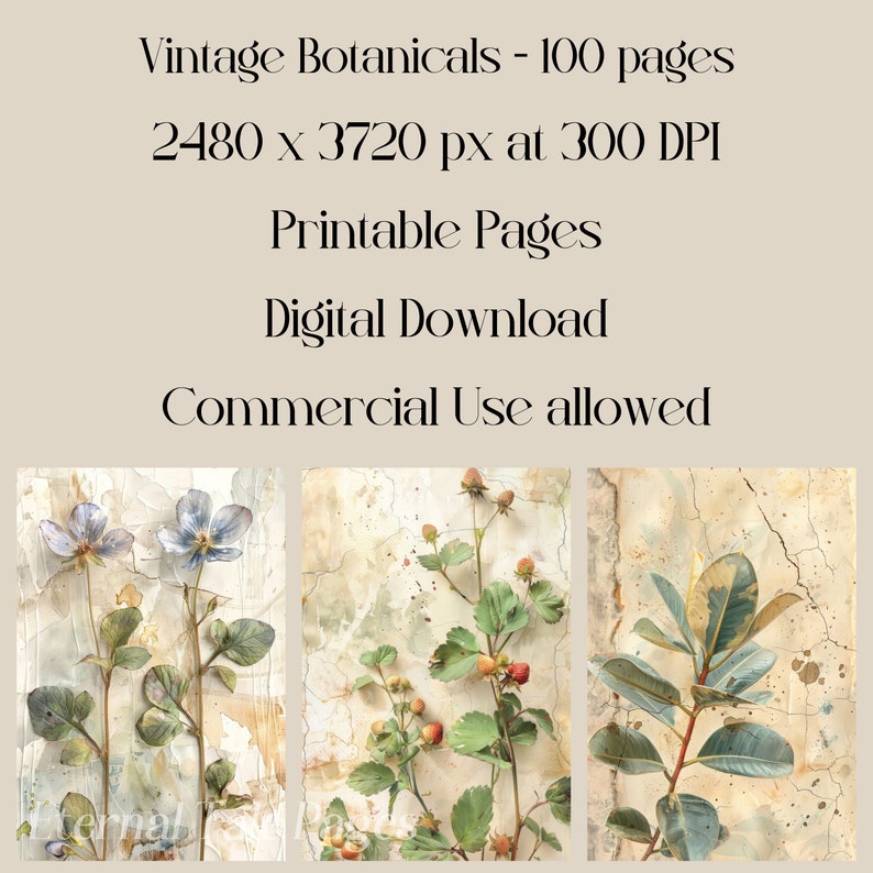 Vintage Botanicals Junk journal pages, floral images, paper texture, vintage style, scrapbook paper, digital paper, printable images image 2