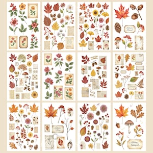 May include: Decorative stickers with autumn botanical illustrations. The stickers feature colourful leaves, flowers, mushrooms, and vintage ephemera. The colour palette includes shades of red, orange, yellow, and brown.