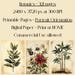 Botanical Junk Journal Pages: Vintage Floral Ephemera (digital Download ...