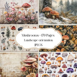 Vintage paddestoelenafbeeldingen voor Junk Journal en scrapbooking, afdrukbare afbeeldingen, schimmels, aan flarden, verweerd, oud, antiek, illustraties