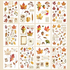 May include: A selection of autumn-themed stickers with watercolour illustrations of fall leaves, acorns, mushrooms, berries, and vintage ephemera. The stickers include text such as "Autumn" and "October 1897" in various fonts and styles.